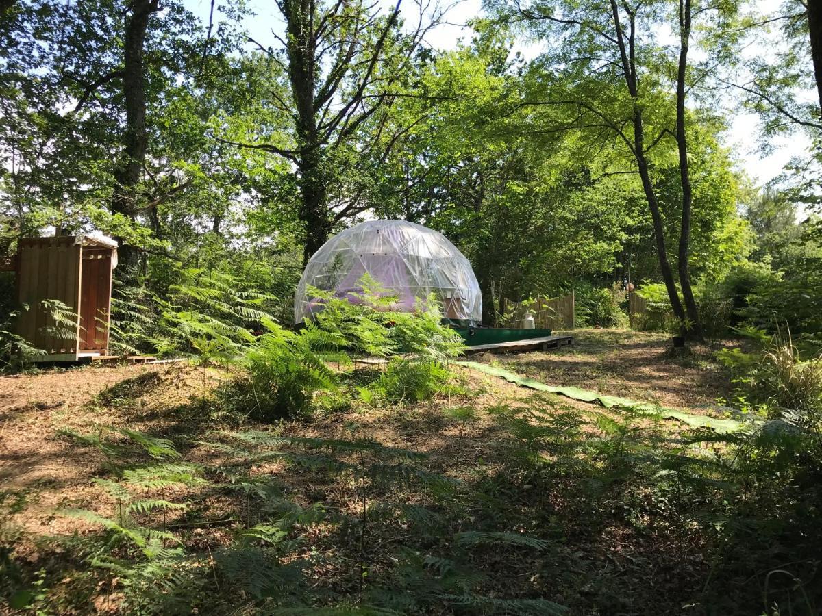 Bulle Etoilee En Nature Landaise Saint-Sever  Exterior photo